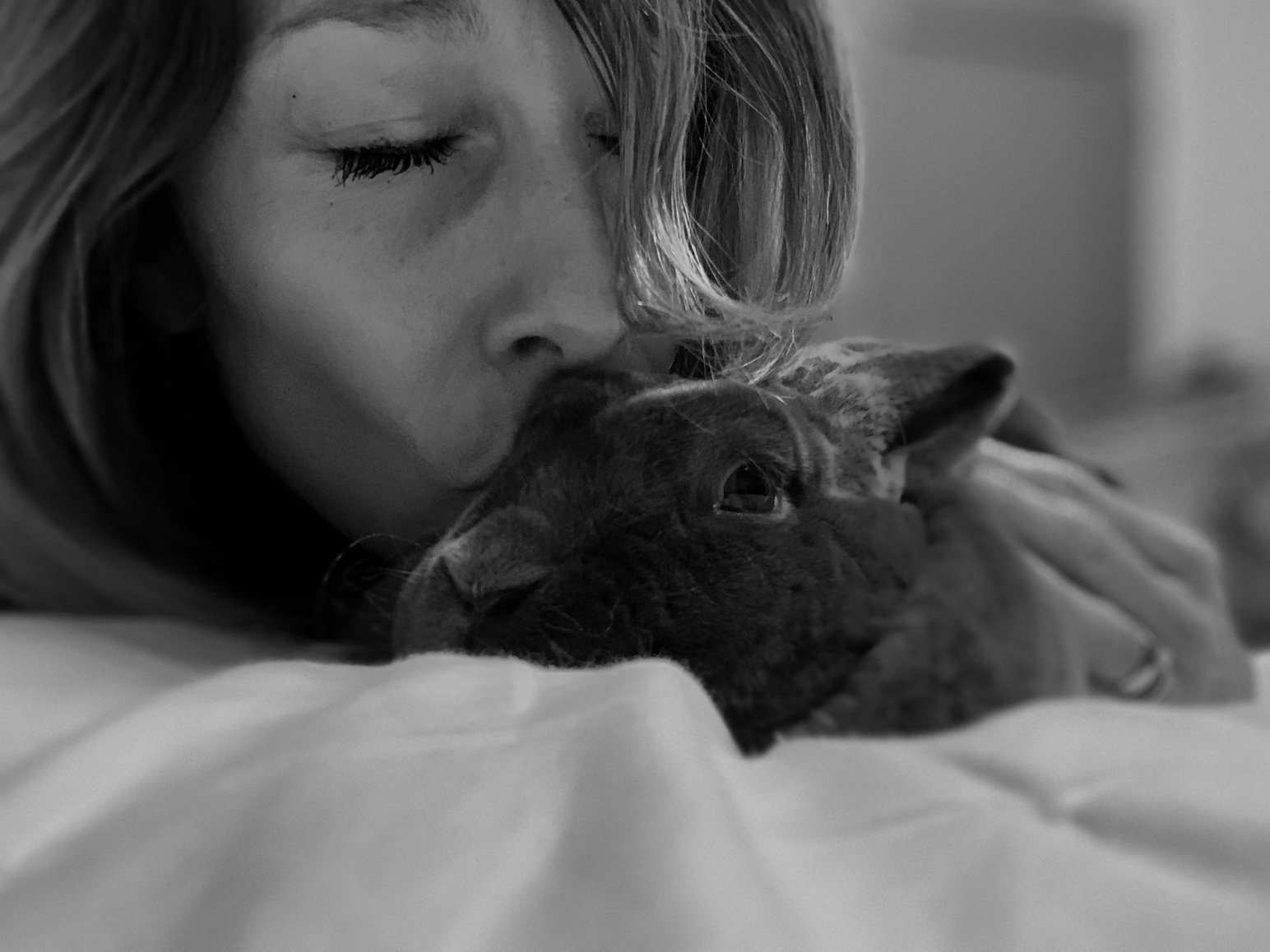 Pet Love
